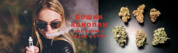 ПСИЛОЦИБИНОВЫЕ ГРИБЫ Волоколамск