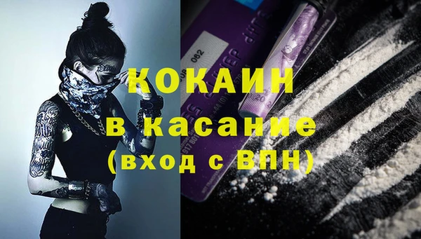 сатива Володарск