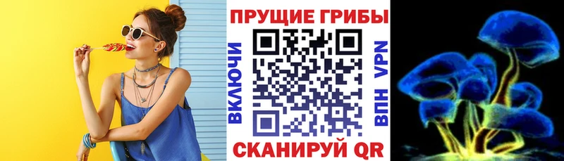 Галлюциногенные грибы Magic Shrooms  Заволжск 